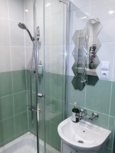 a bathroom with a sink and a glass shower at Apartament przy Mickiewicza in Stronie Śląskie
