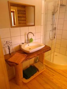 a bathroom with a sink and a shower at Reiterhof Mühlbauer in Grattersdorf