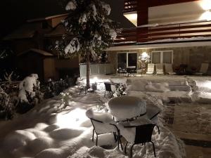 einen schneebedeckten Hof mit Stühlen und einem Baum in der Unterkunft Apartamenty Skalite Szczyrk Wellness in Szczyrk