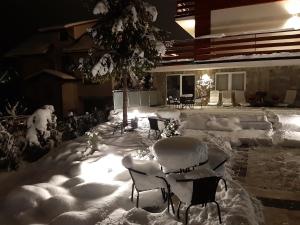 a yard covered in snow with chairs and a tree at Apartamenty Skalite Szczyrk Wellness in Szczyrk