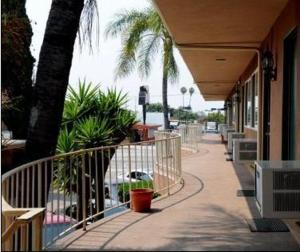 einen Bürgersteig mit Palmen und einem Gebäude in der Unterkunft Century Inn at LAX in Inglewood