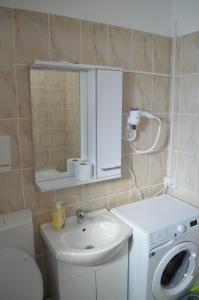 a bathroom with a sink and a washing machine at Alexys Residence 4 in Iaşi +27 photos