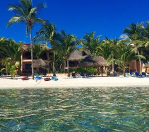 um resort numa praia com palmeiras e água em Nah Uxibal Villa and Casitas em Tulum