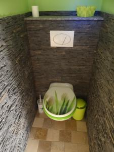 un bagno con un water verde in un muro di mattoni di LA BELLE D'ANTAN a Saint-Bonnet-en-Bresse