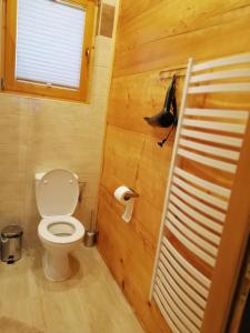 a bathroom with a toilet and a bird on the wall at Domek Anielci in Zakopane