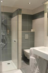 a bathroom with a shower and a toilet and a sink at Hotel Restaurant 3 Châteaux in Ribeauvillé