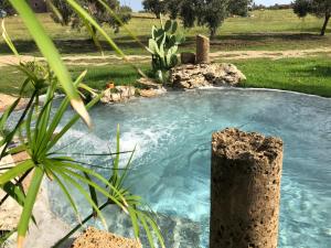 Bazén v ubytování Resort Fonte Vulci nebo v jeho okolí