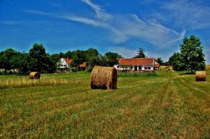 un campo con fardos de heno delante de una casa en Múltidéző Porta - Népi Műemlék Házak az Őrségben, en Szalafő