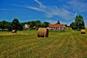 Fotografie z fotogalerie ubytování Múltidéző Porta - Népi Műemlék Házak az Őrségben v destinaci Szalafő