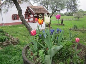 a flower garden with tulips and a gazebo at Múltidéző Porta - Népi Műemlék Házak az Őrségben in Szalafő