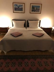 um quarto com uma cama grande com duas almofadas em Monte Christo em Miastko