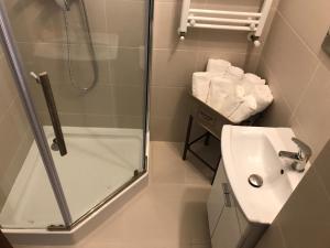 baño pequeño con ducha y lavamanos en Central View Apartment, en Timisoara