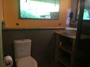 a bathroom with a white toilet and a sink at Glamping Amsterdam "only to be reached by boat" in Baambrugse Zuwe