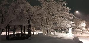 a park covered in snow with trees and a street light at Apartmani Janković in Vrdnik