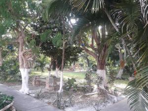 a park with trees and a bench and a playground at Casa Luz Verde in Cancún