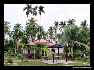 a house with palm trees in front of it at Batis ni Juan Leisureland in Dipaculao