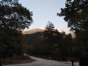 a gravel road with trees and a mountain in the background at Complex Magic of the Rhodopes in Bachkovo