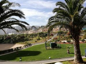 a park with palm trees and a basketball hoop at Departamento San Alfonso in Algarrobo