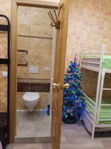 クロンシュタットにあるViktoriaのクリスマスツリーと二段ベッド付きのバスルームが備わります。
