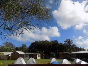 Giardino di Camping Hostal Tipanie Moana Aeropuerto Centro