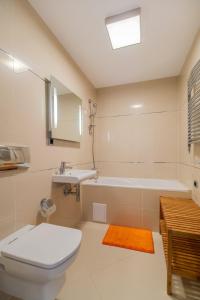 a bathroom with a toilet and a sink and a tub at Loft Apartment Silver Mountain in Poiana Brasov
