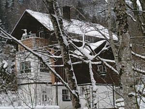 ein Haus mit Schnee auf dem Dach in der Unterkunft Georges Rast in Altaussee