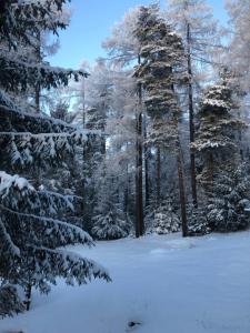 Vila Horec, Vysne Hagy during the winter