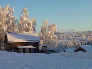 une maison recouverte de neige avec des arbres en arrière-plan dans l'établissement Holiday home Hammarstrand 4 persons, à Hammarstrand