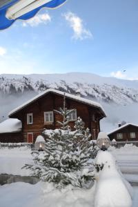 Mountain Lodge Sedrun v zimě