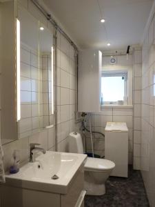 La salle de bains est pourvue d'un lavabo, de toilettes et d'un miroir. dans l'établissement Holiday home Hammarstrand 4 persons, à Hammarstrand