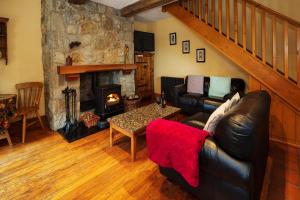 Croneybyrne Courtyard في Clara: غرفة معيشة مع أريكة جلدية ومدفأة