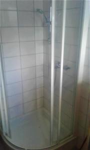 una doccia con porta in vetro in bagno di Apartment MASCH ad Arriach