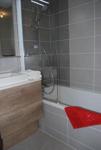a bathroom with a shower and a sink and a tub at LE DOMAINE DU PATRE in Vaujany