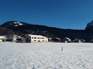 Appartment Hirschberg v zimě