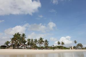 plaża z palmami i wodą w obiekcie Villa Dahl Beach Resort w mieście Dar es Salaam