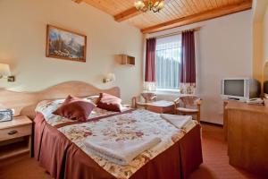 クリニツァ・ズドルイにあるPiastun SPA&Wellness Krynica-Zdrójのベッドルーム1室(ベッド1台、テレビ付)