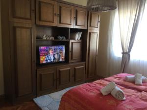 1 dormitorio con 1 cama y armario con TV en Stan na dan Gradiška/Bos. Gradiška en Bosanska Gradiška