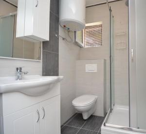 ein Badezimmer mit Toilette, Waschbecken und Dusche in der Unterkunft Apartmani Cesarec in Basina
