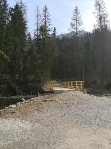 a wooden bridge over a river in a forest at Zakopanerent in Kościelisko