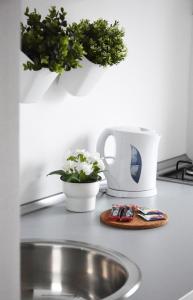 a kitchen counter with a sink and a cup and plants at White Almond Apartment in Budapest