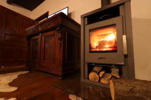 a fireplace in a living room with logs in it at Villa Pepeljuga kuća za odmor in Vižovlje