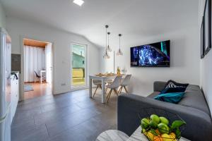 TV a/nebo společenská místnost v ubytování Apartments Tomislav
