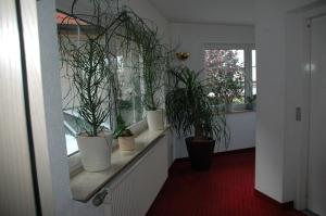 Fotografie z fotogalerie ubytování Mayers Waldhorn - zwischen Reutlingen und Tübingen v destinaci Tübingen