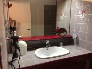 VignecにあるGite Prat de sempéの浴室の洗面台を撮影した者