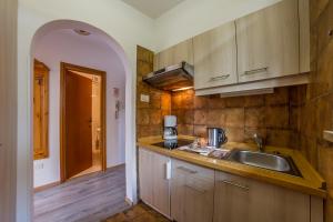 a kitchen with a sink and a counter top at Villa Eleonora in Merano