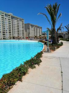 una piscina con palmeras y edificios en Laguna Bahía Algarrobo edificio Océano 406, en Algarrobo