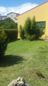 a yard with a building and a rock in the grass at Belle Maison de Campagne in Ançã