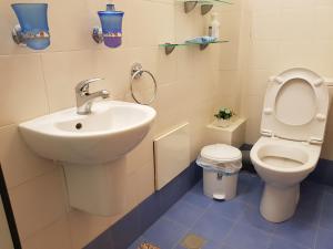 La salle de bains est pourvue d'un lavabo et de toilettes. dans l'établissement Bright, inviting, unique architecture, great location flat, à Bet Shemesh