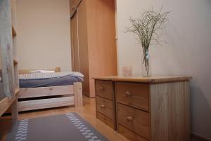 Poschodová posteľ alebo postele v izbe v ubytovaní Apartmán BORKA