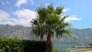 Paesaggio naturale nelle vicinanze dell'appartamento